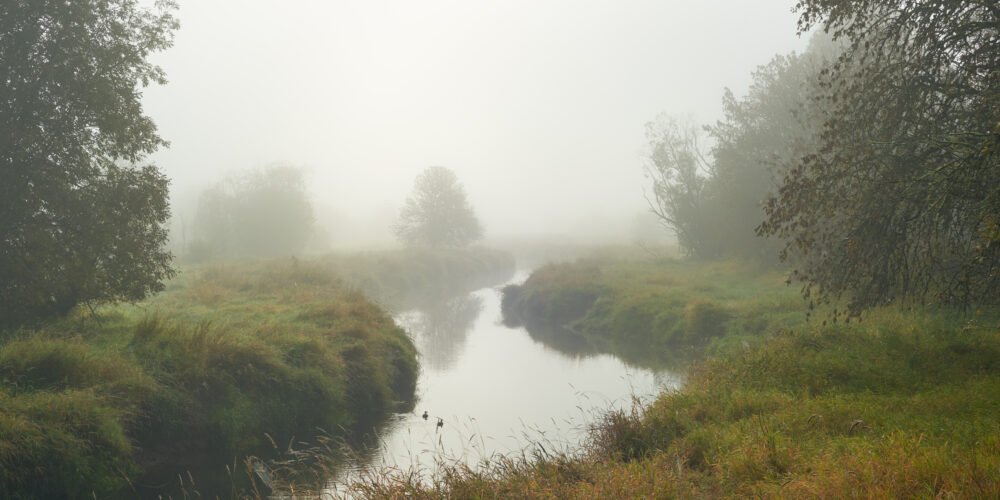 Salmon Creek In Vancouver, Washington